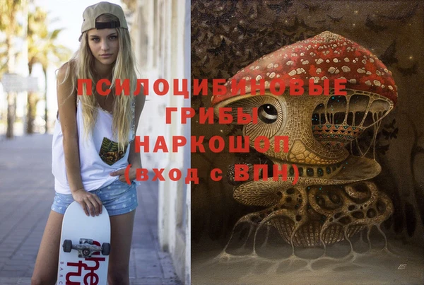 молекула духа Беломорск